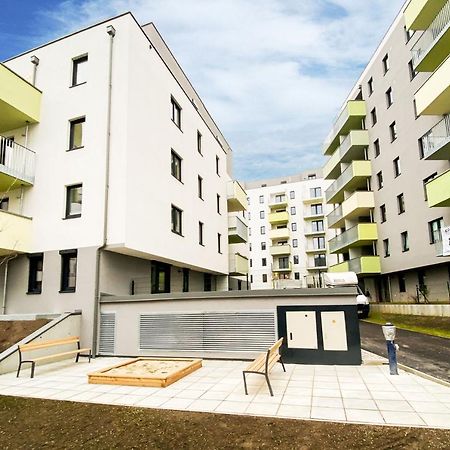 Green & Cozy Apartment - 15 Min To City Center Viyana Dış mekan fotoğraf